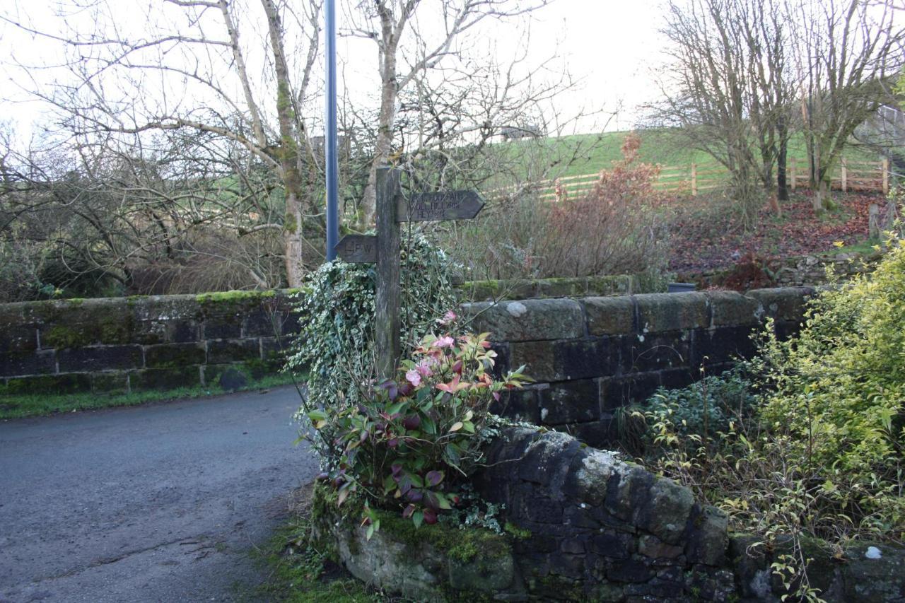 Squirrel Cottage Cowling Bagian luar foto